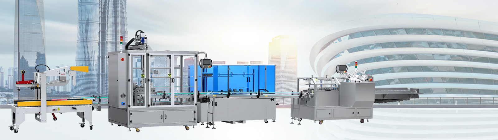LY550LQ CARTONING AND CASE PACKING PRODUCTION LINE